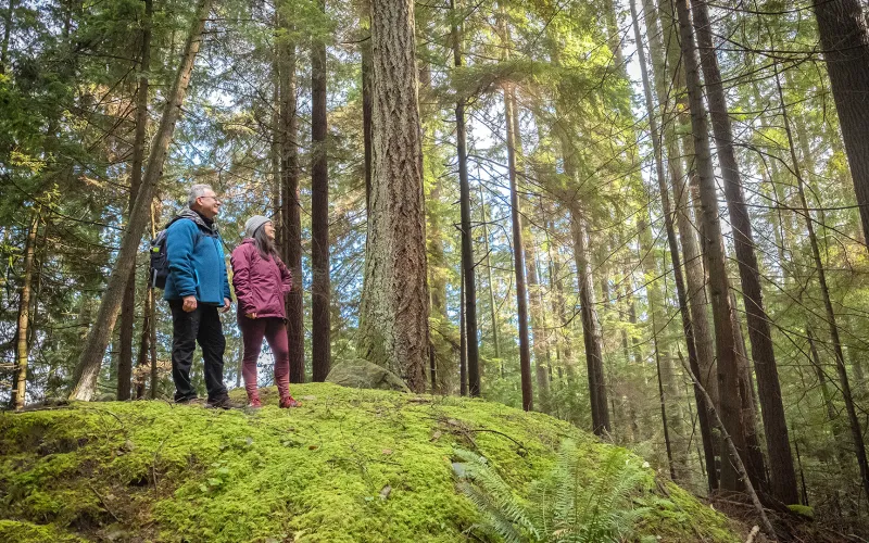 Couple hiking and standing on a moss-covered rock
