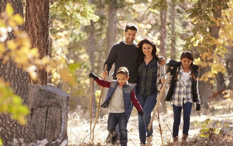 Family hiking in the woods