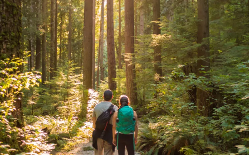 Couple in west coast forest 