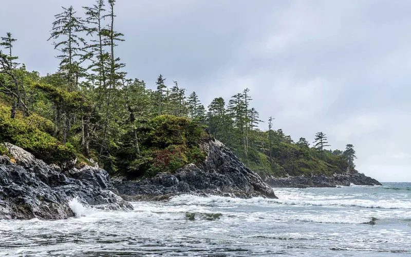 West coast storm