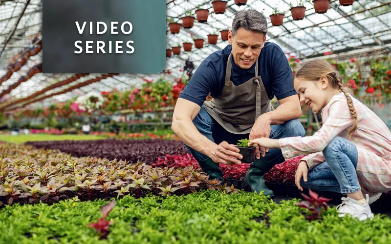 Tax Free Transfer Capital Investments