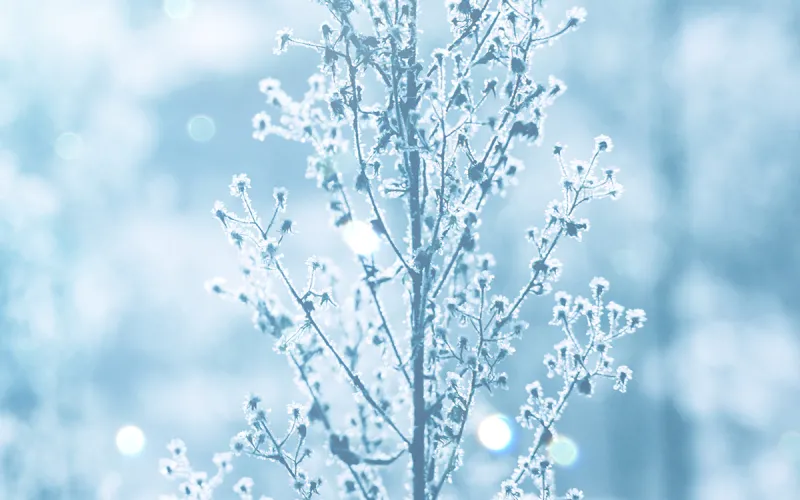 mltd escalator Q1 2025