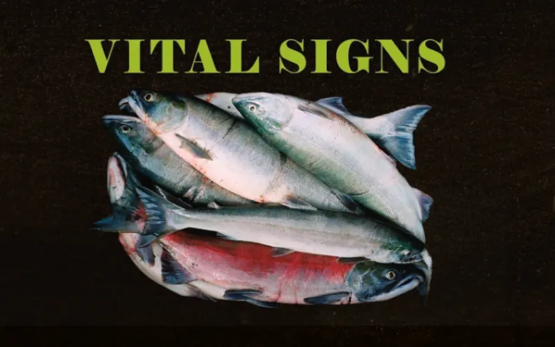 Bill Reid Gallery_Vital Signs