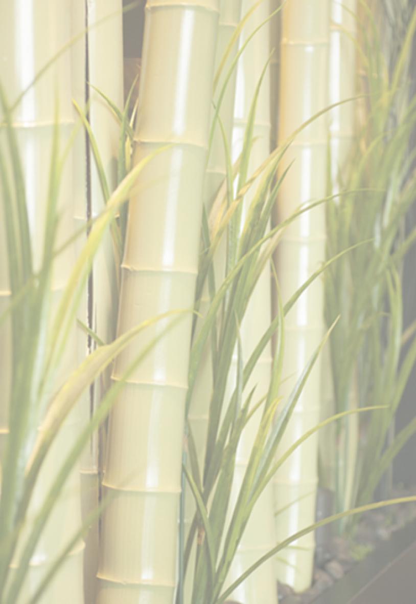 Bamboo in a row