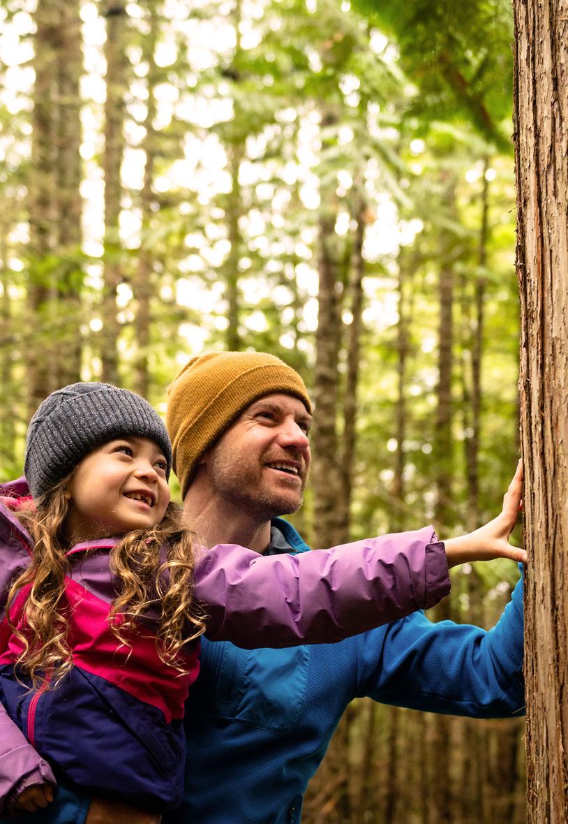 Man holding child hiking in woods & looking at tree