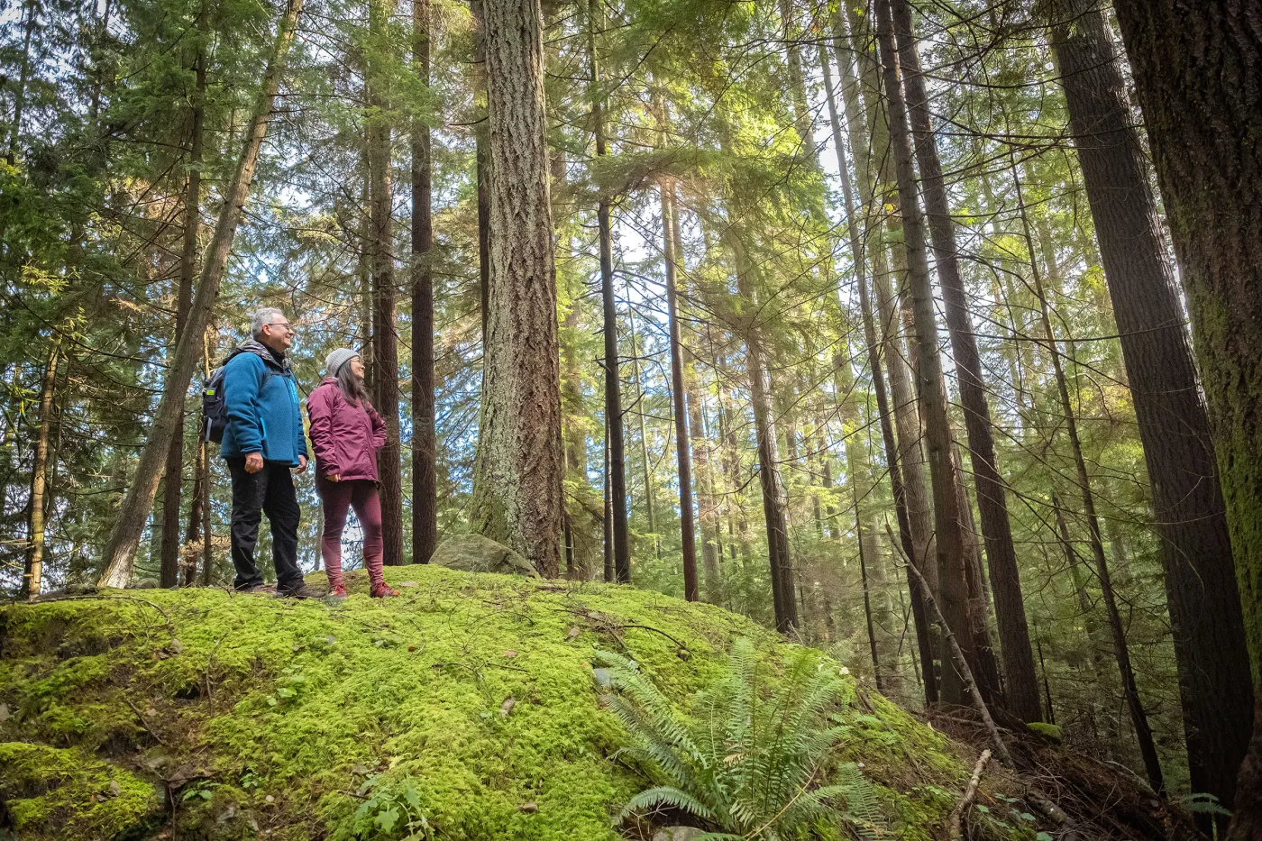 Couple hiking in forest