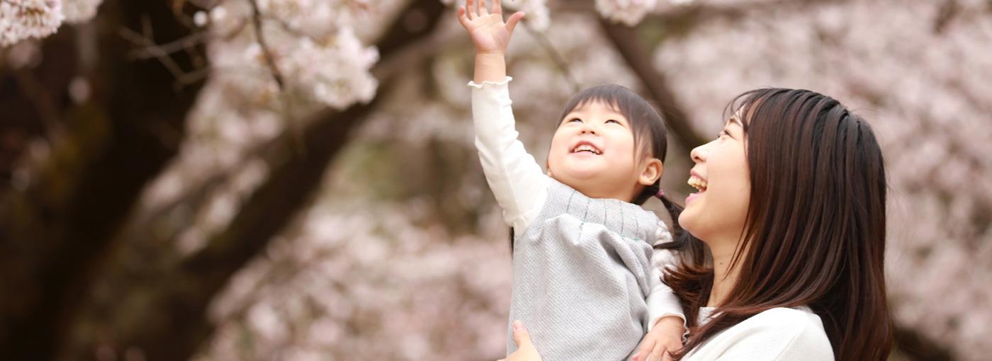 Mother and child admiring cherry blossoms