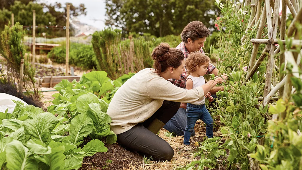 Family working in garden