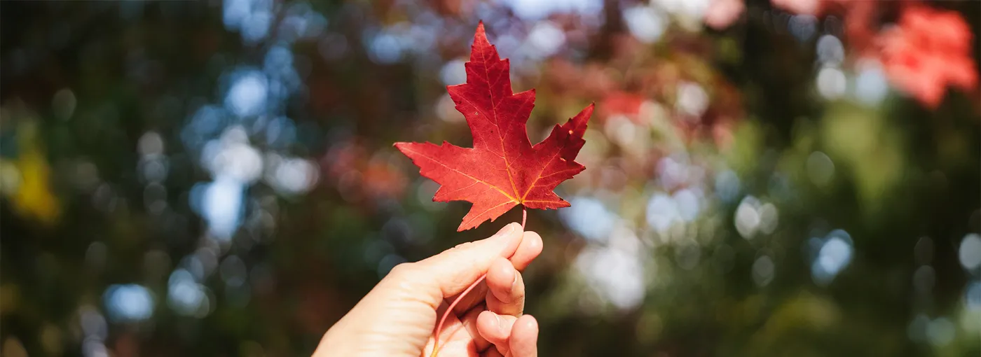 Article-2_Canadian-Economic-Outlook_Body-1.jpg