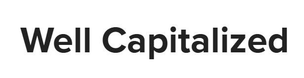 Well Capitalized Podcast logo