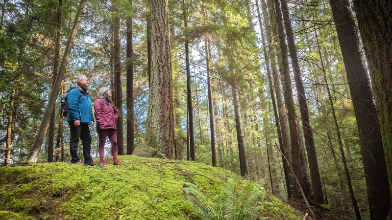Couple hiking and standing on a moss-covered rock