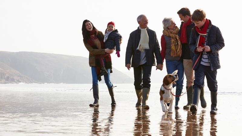 Family walking on the beach with dog
