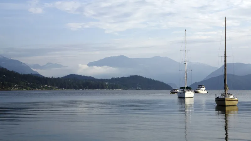 Sailboats moored on the West Coast